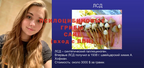 дурь Абдулино